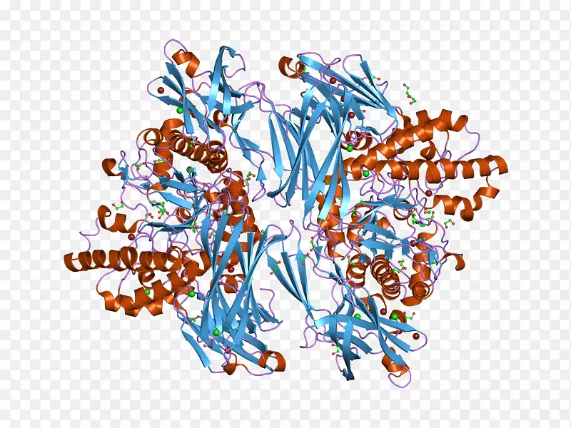 �廭�������ߵ�-������