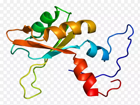 �������л����߶���-������