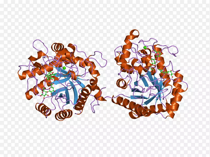 �鱦���������ɫS.A��-�鱦-������