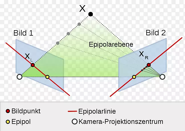 ������ѧ�������������-������