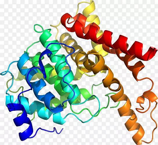 �������л�����������-������