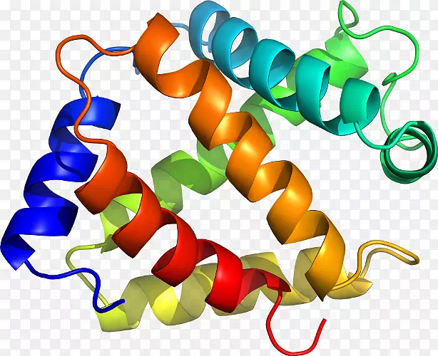 �������������γ�ɫS.A��-�鵰��-������