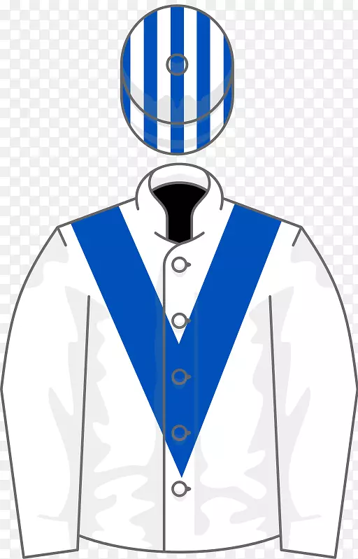 ����������ʽͼ����ƥ-������