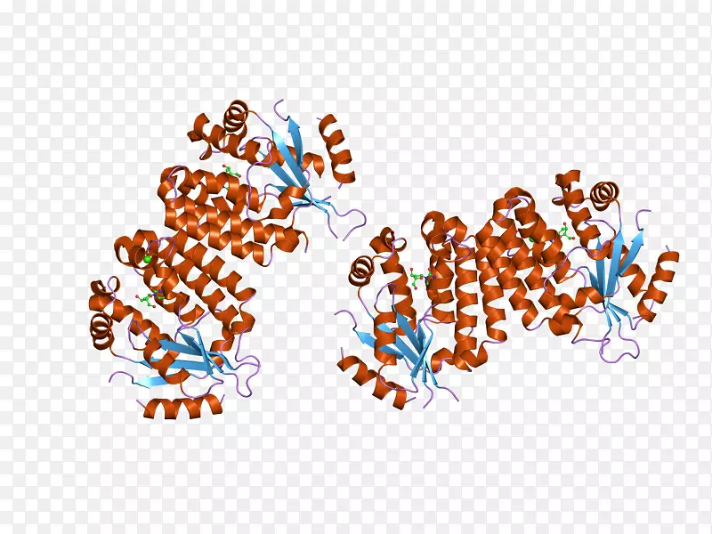 ��ͼ�����������ߵ�-������