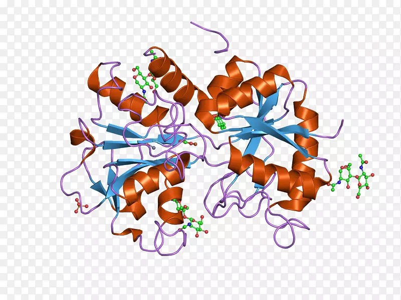 ������ʳƷ-������