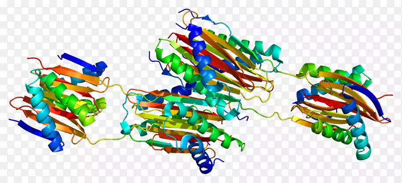 �߼������㼼��-������