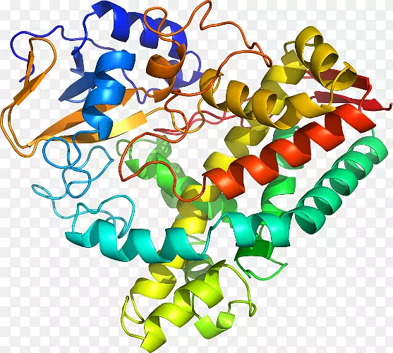 �������л�����������-������