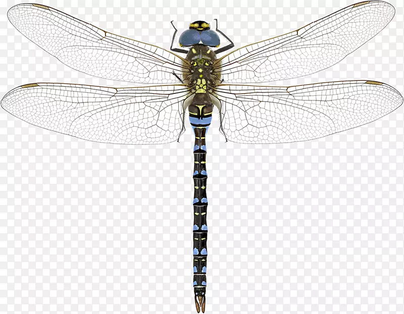 �����ۻ����ҵ����ѣ��Ϸ�С����ǳ��ɫС��-������