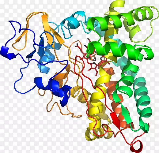 �������л�����������-������