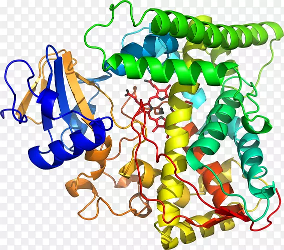 �������л�����������-������