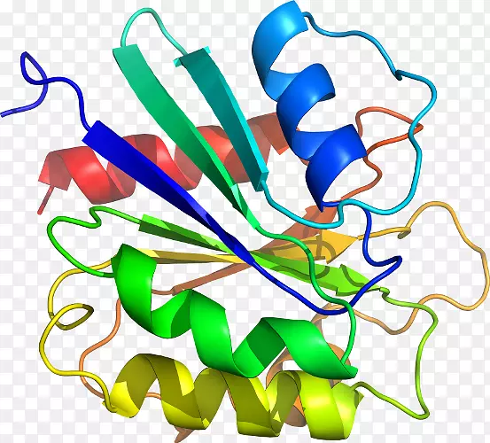 �������ߵ��л����鱦-������