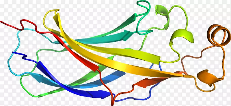 �������ߵ�ֲ�ﾥ-������