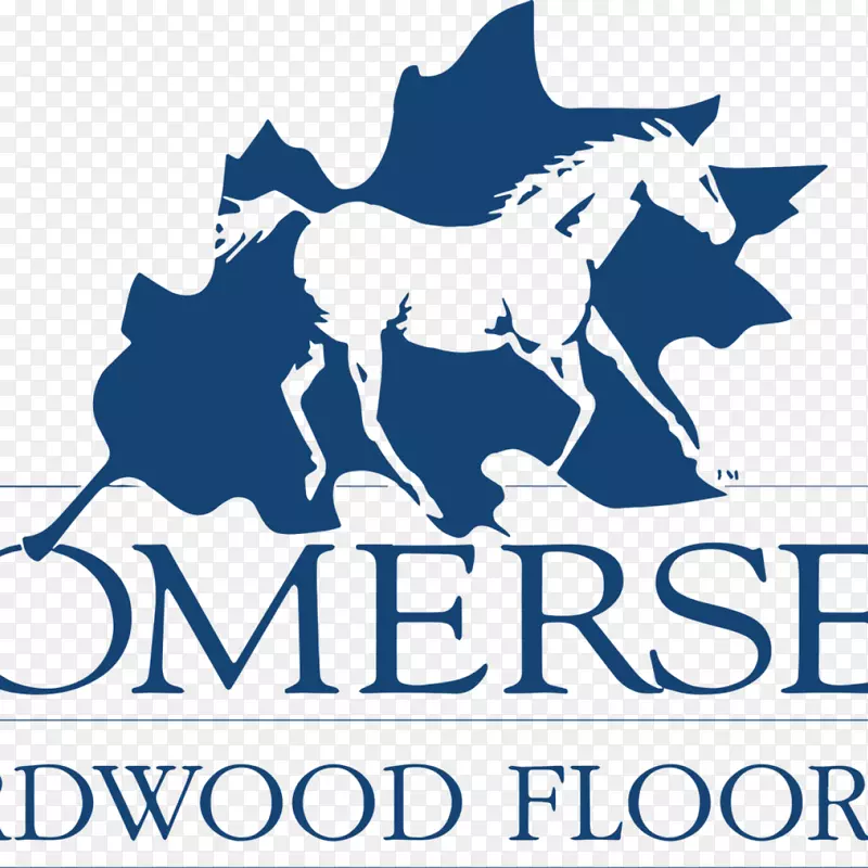 ��Ӳľ�ذ��ľ�ذ��̺-������