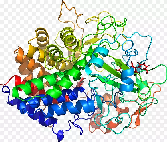 �������л��������鱦-������