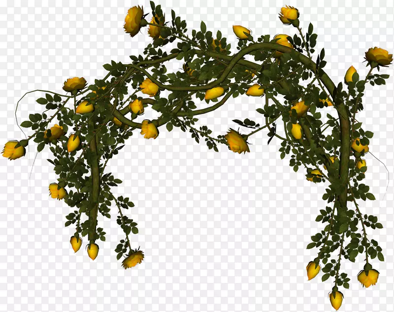 ������԰-������