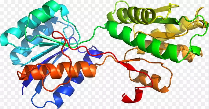 �������л��������鱦����-������