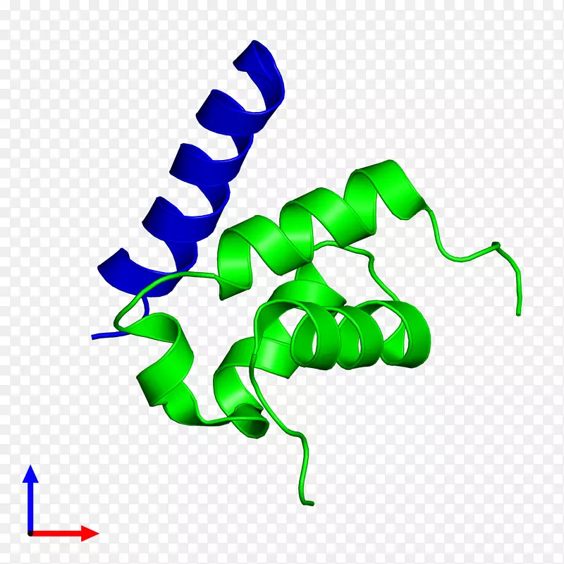 �������ߵ�Ҷ-������