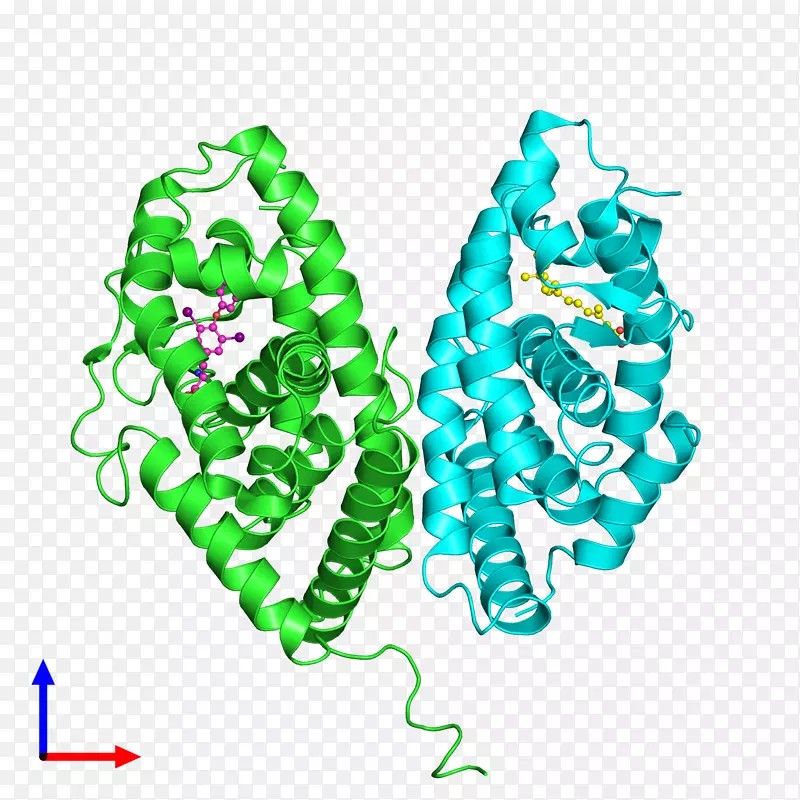 ������������Ҷ������.����-������