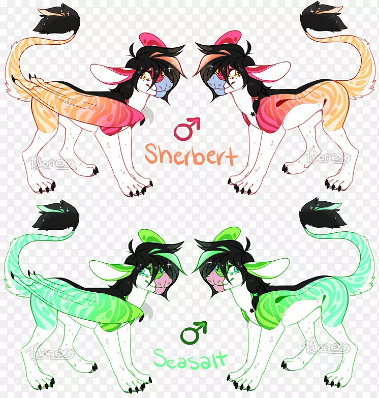 Ȯ�ƣ���è�����У�������ˮ�ʻ�-������