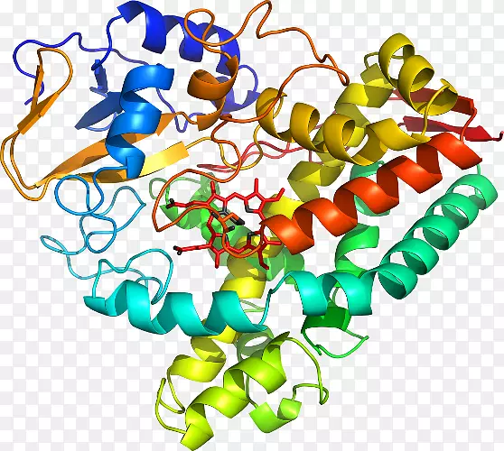 �������л�����������-������