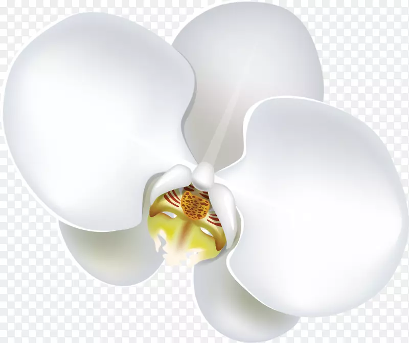 ���������ٺϼ���������-������