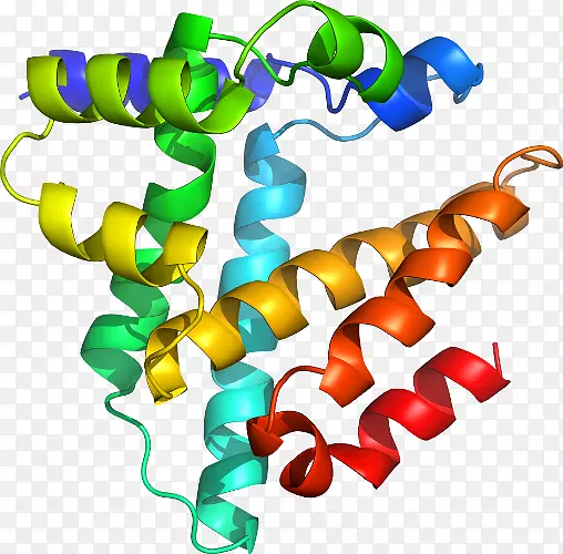 �������л�����������-������