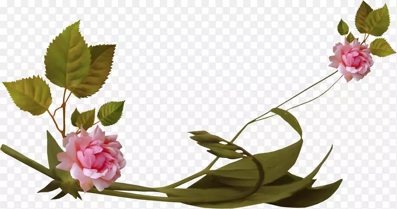 �ʻ�ӭ����õ��-PNG-������