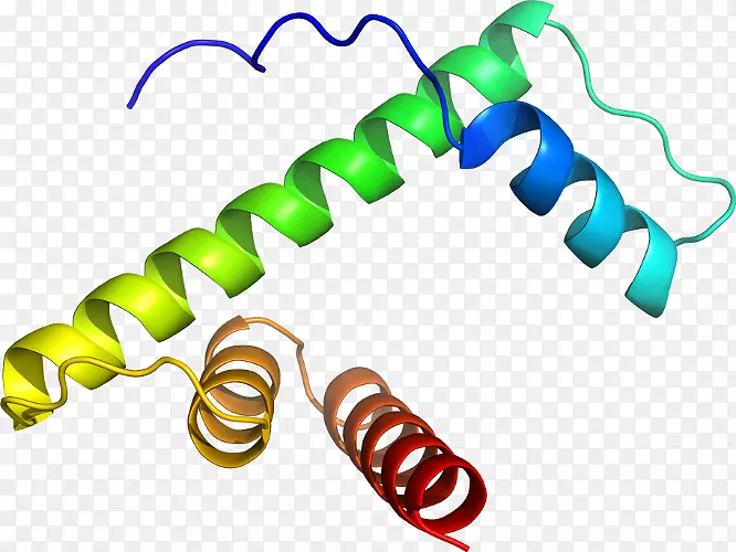 �����������鱦����-������