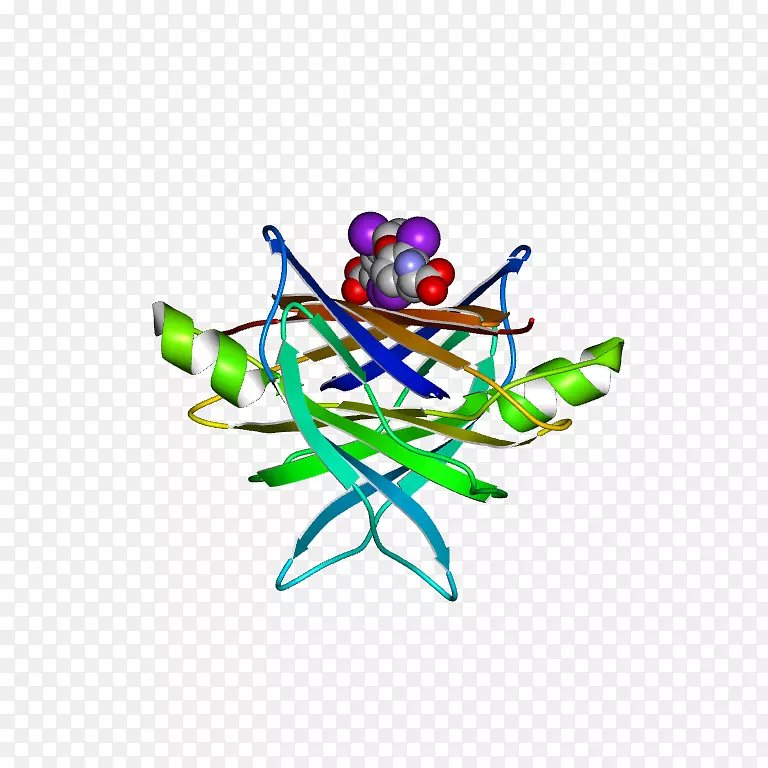 �������л��������鱦-������