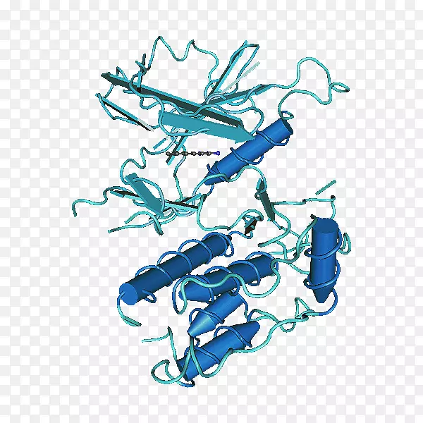 �������廭������-������