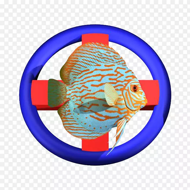 ����������������-������