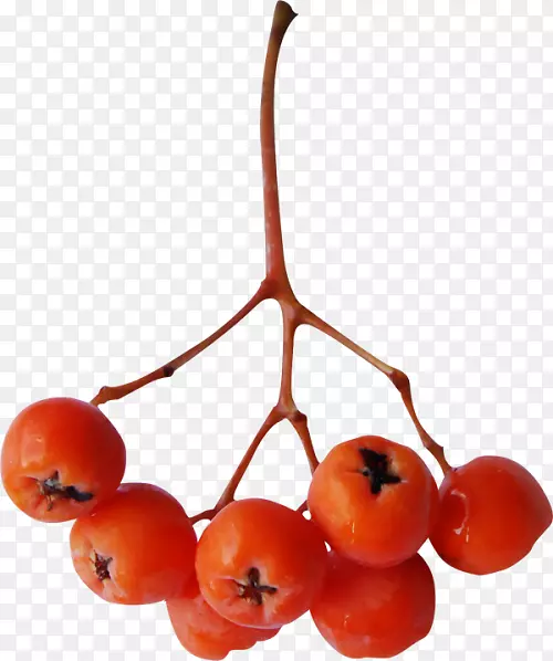 ������pngͼƬͼ��ͼ��adobe Photoshop-������