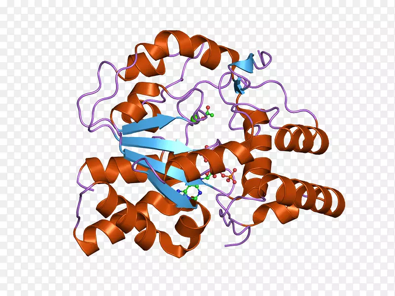 ʳƷ������-������