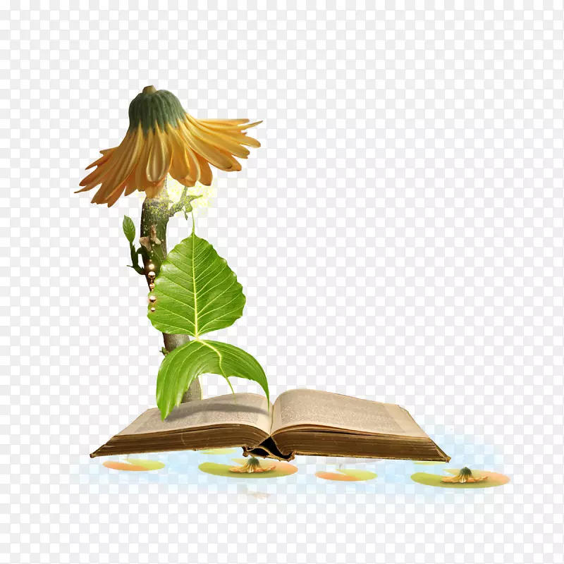 ͼƬ�������Ĳ���pngͼƬ��������-��-������