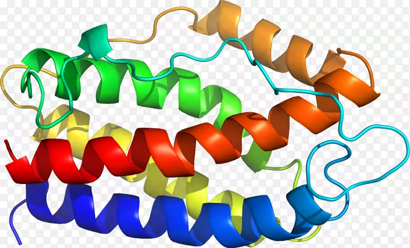 �������߲�Ʒ��ɫS.A��-������