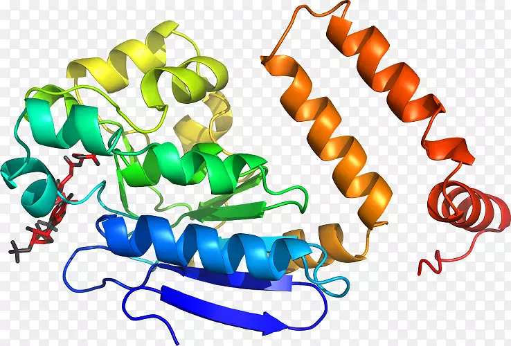 �������л�����������-������