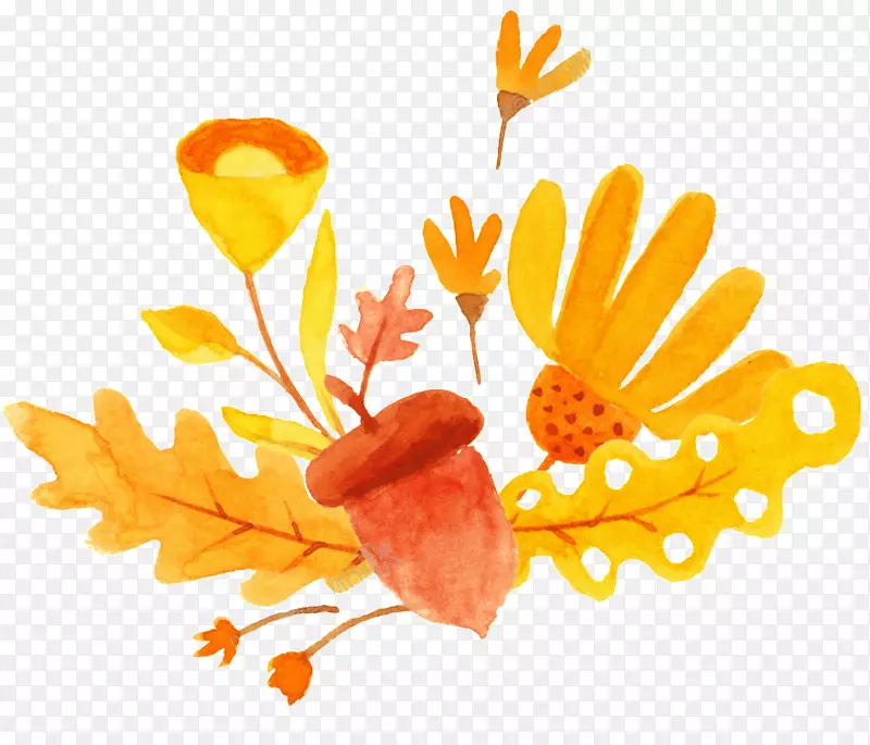 ˮ�ʻ����pngͼƬ��ͼ.xs-������