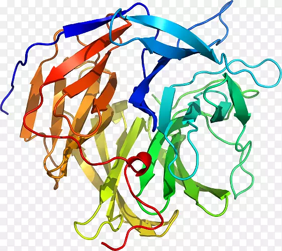 �������廭�ߵ��л���-Loligo-������