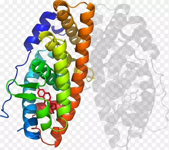 �������л�����������-������