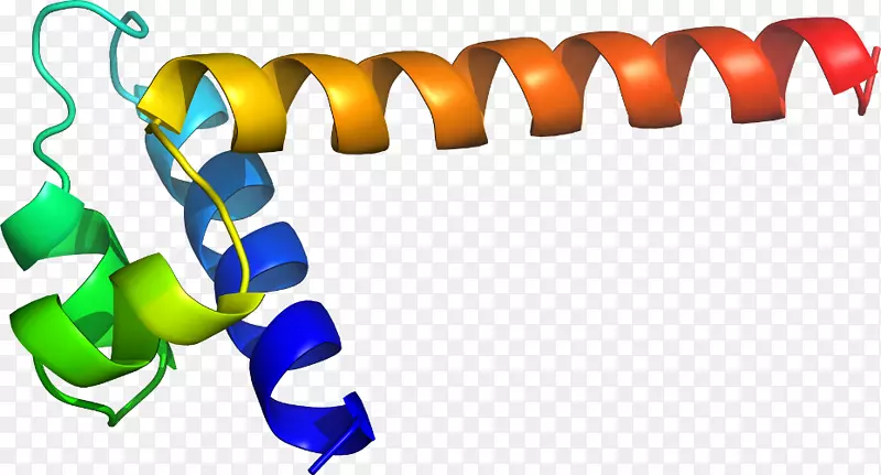 �����������鱦����-������