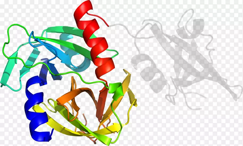 �������л�����ʥ��װ��Ʒ-������