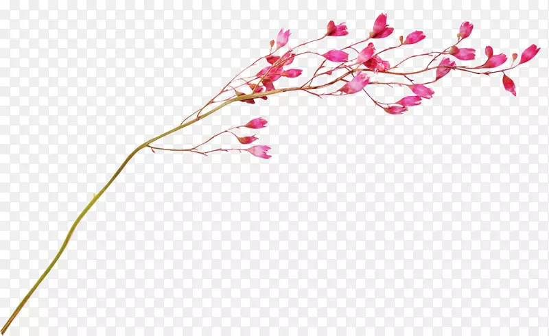 �廭����ͼ�񻨻�ͼ��.��-������