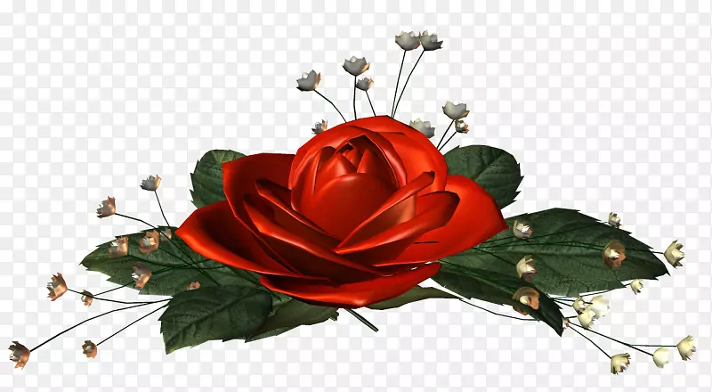 ��԰õ�廨������-������