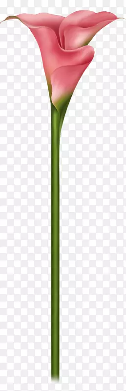 Ӣ��޹�²��л�ֲ�ﾥ޹�²�-������