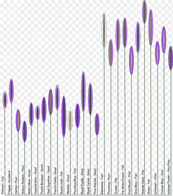 Ӣ��޹�²��ļ����㻨��ľ-޹�²�-������