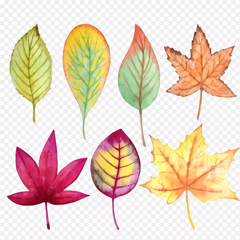 ����ˮ��ͼ��ˮ�ʻ��＾ͼ��-����-������