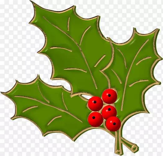 ������pngͼƬ���Ĳ���ʥ����ͼƬ-HOIX-������