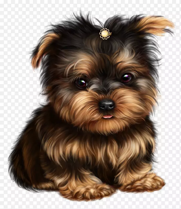 Լ�˿�С��Ȯ���Ĵ�����˿״��Ȯ��Ī��С��-������