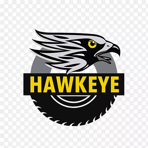 ���ӹ�����־���Ӳ⾮�豸��������-������