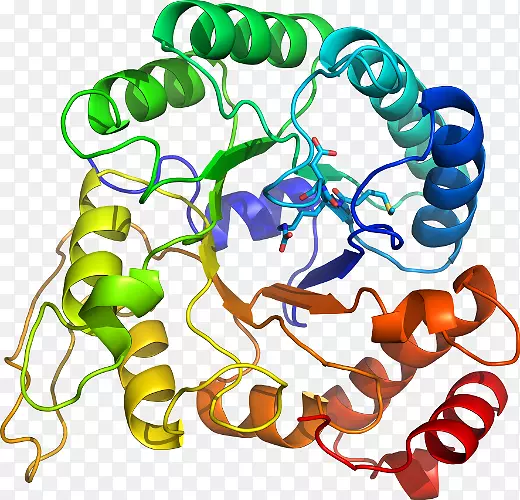 �������л�����������-������